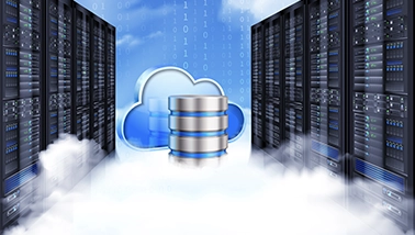 Secure, scalable container registry for enterprise DevOps workflows.