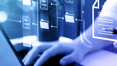 Scalable file storage for shared access and collaboration.