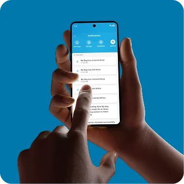 Alerts to Prevent Loss